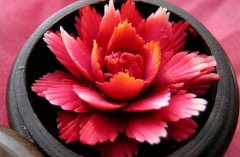 属猪姓车男孩名字大气