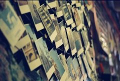 猪年丰姓男孩名字有福气