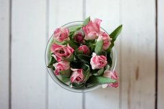 汤姓男孩名字大全属猪