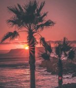 苏姓男孩名字有意义