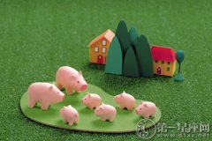 猪宝宝取名：猪年男宝宝起名大全