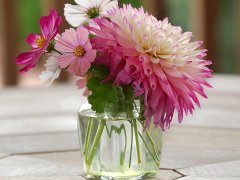 鲜花店起什么名字好