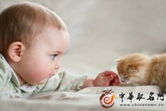 男孩美好成语起名字大全