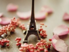 经典的诗经中的宝宝名字大全