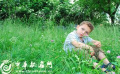 男宝宝起名 2016文雅有寓意的男孩名字大全