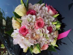 2016年新意十足的汪姓女孩名字大全