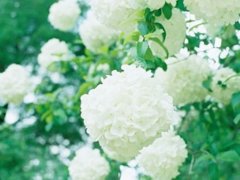 女孩子取名10个原则2016