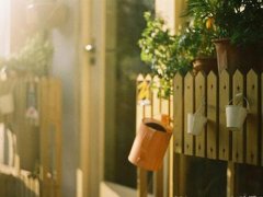 生肖猴的女宝宝起名字大全