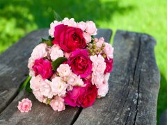 2016年新意十足的金姓女孩名字大全