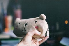 猪年福姓女孩名字