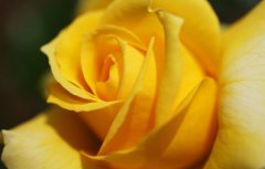 佟姓好听的女孩名字