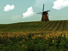 帅姓女孩名字大全霸气