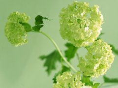 周姓100分女孩名字最霸气