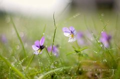 罗姓女孩取名最高分