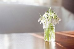 孟姓女孩名字大全属猪