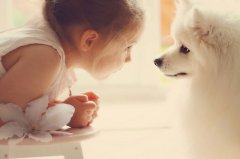 姓霍的女孩名字大全 霍姓女孩起名