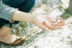 姓傅的女孩名字大全 傅姓女孩起名