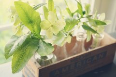 姓湛的女孩名字大全 湛姓女孩起名