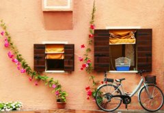 姓花的女孩名字大全 花姓女孩起名