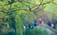 姓巫的女孩名字大全 巫姓女孩起名