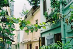 姓宰的女孩名字大全 宰姓女孩起名