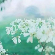 姓公孙的女孩名字大全 公孙姓女孩起名