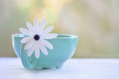 姓欧阳的女孩名字大全 欧阳姓女孩起名