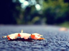 姓逮的女孩名字大全 逮姓女孩起名