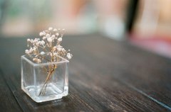 姓姓的女孩名字大全 姓姓女孩起名