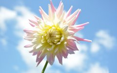 2017年姓陈的女孩名字大全 属鸡陈姓女宝宝起名