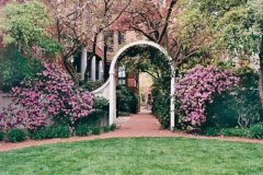 2017年姓张的女孩名字大全 属鸡张姓女宝宝起名