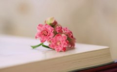 2017姓滕的女孩名字大全 属鸡滕姓女宝宝起名