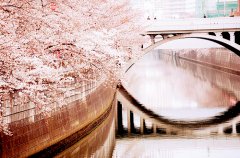 2017姓汪的女孩名字大全 属鸡汪姓女宝宝起名