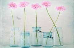 2017姓伍的女孩名字大全 属鸡伍姓女宝宝起名