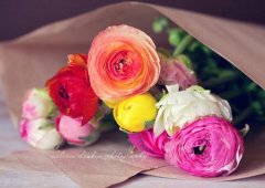 2017姓樊的女孩名字大全 属鸡樊姓女宝宝起名