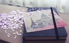 2017姓单的女孩名字大全 属鸡单姓女宝宝起名