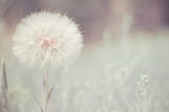 2017姓糜的女孩名字大全 属鸡糜姓女宝宝起名