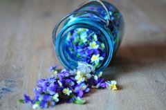 2017姓蓬的女孩名字大全 属鸡蓬姓女宝宝起名