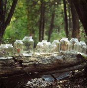 2017姓暴的女孩名字大全 属鸡暴姓女宝宝起名