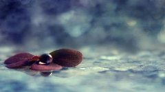 2017姓栾的女孩名字大全 属鸡栾姓女宝宝起名