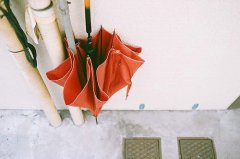 2017姓农的女孩名字大全 属鸡农姓女宝宝起名