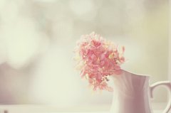 2017姓师的女孩名字大全 属鸡师姓女宝宝起名