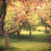 2017姓巩的女孩名字大全 属鸡巩姓女宝宝起名