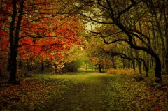 2017姓融的女孩名字大全 属鸡融姓女宝宝起名