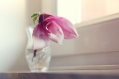 2017姓上官的女孩名字大全 属鸡上官姓女宝宝起名