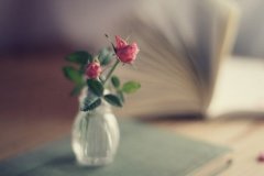 2017姓夏侯的女孩名字大全 属鸡夏侯姓女宝宝起名