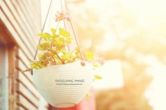 2017姓轩辕的女孩名字大全 属鸡轩辕姓女宝宝起名