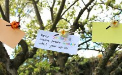 2017姓司马的女孩名字大全 属鸡司马姓女宝宝起名