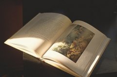 2017姓漆雕的女孩名字大全 属鸡漆雕姓女宝宝起名