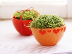 2017姓拓拔的女孩名字大全 属鸡拓拔姓女宝宝起名